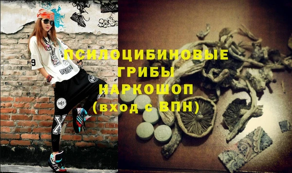 кокаин премиум Богданович