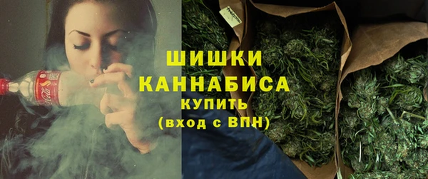 Альфа ПВП Богородицк
